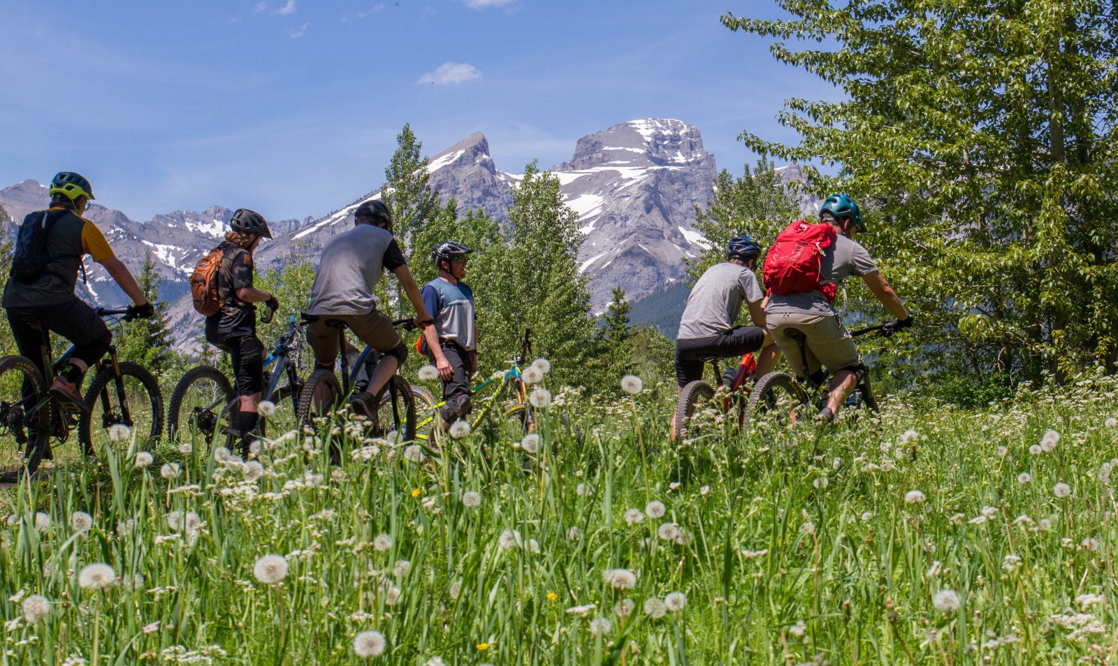 ridetheory tour three sisters fernie