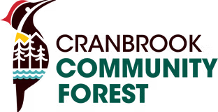 CCF Final Logo cranbrook community forest logo