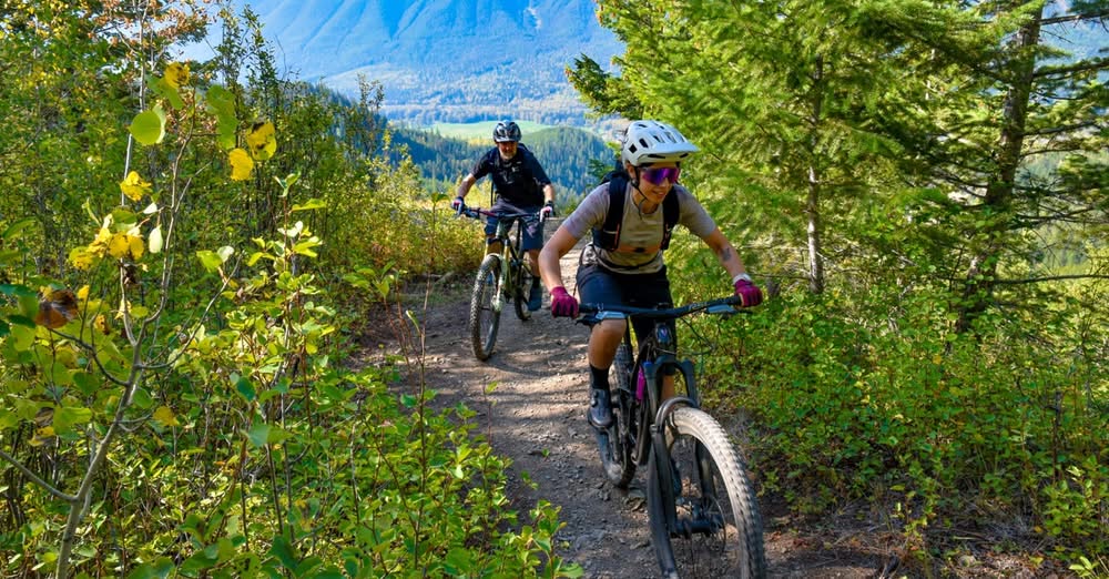 Two mountain bikers, subalpine, having the time of their lives.