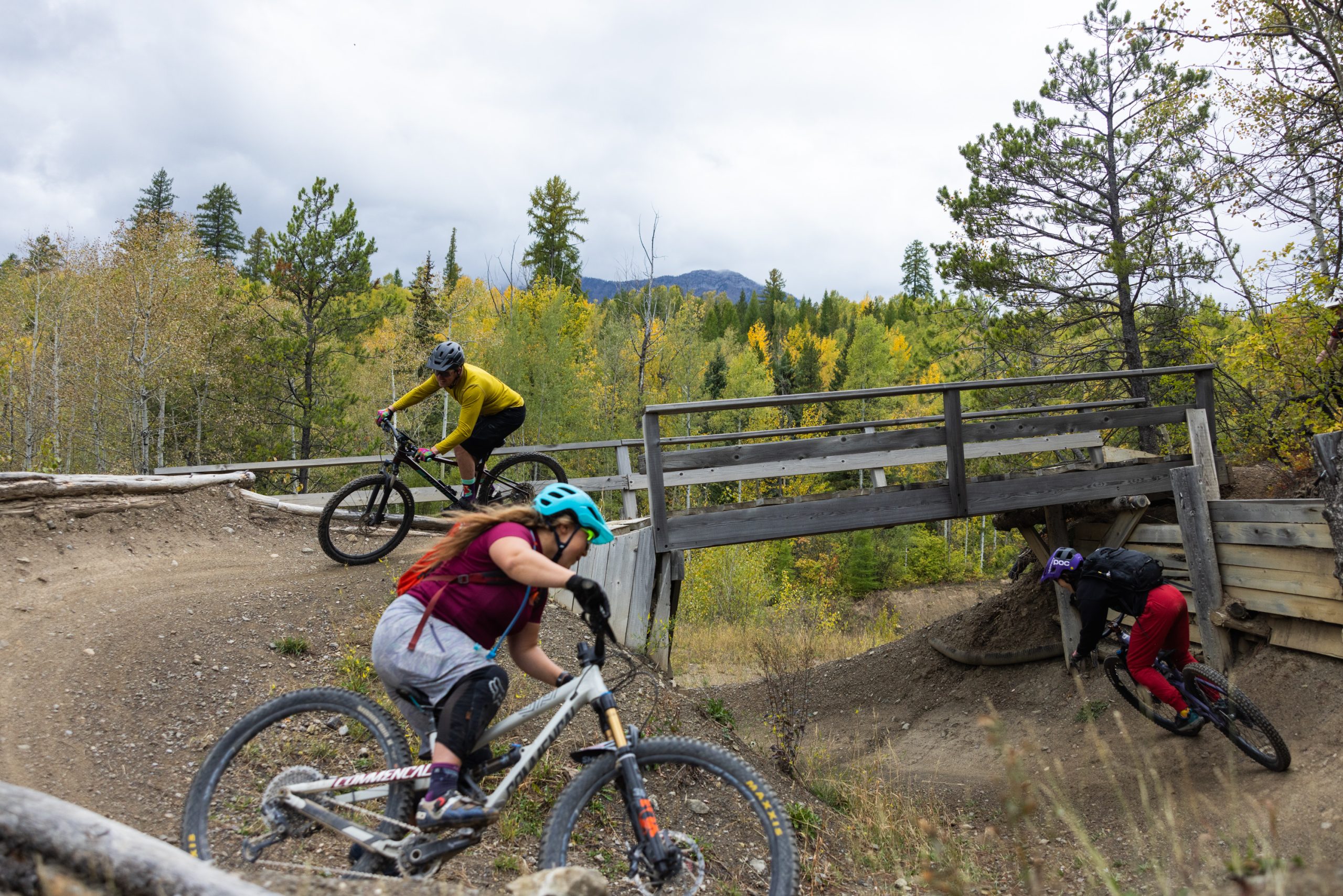 space unicorn trail in fernie. three bikers on the trail.